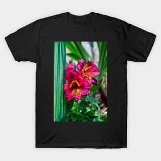 Pink Peruvian lily T-Shirt